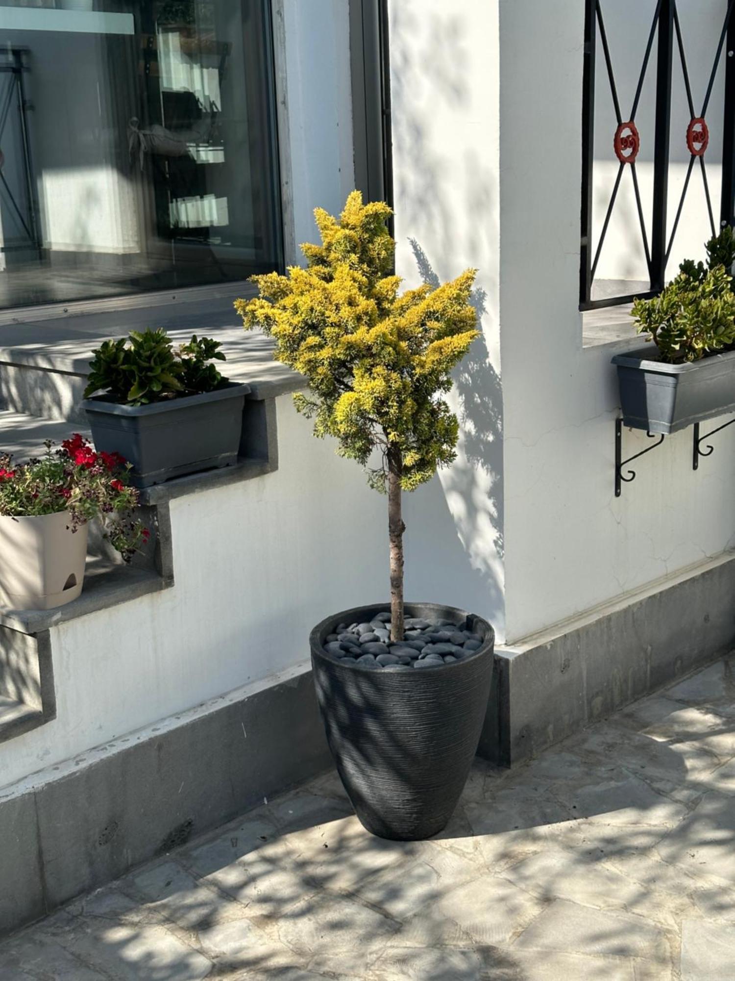 Garden Lounge Hotel Jerevan Eksteriør bilde
